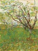 Orchard in Blossom