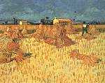 Harvest in Provence