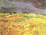 Fields, The
