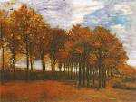 Autumn Landscape