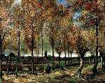 Lane with Poplars