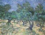 Olive Grove