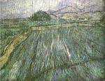 Wheat Field in Rain